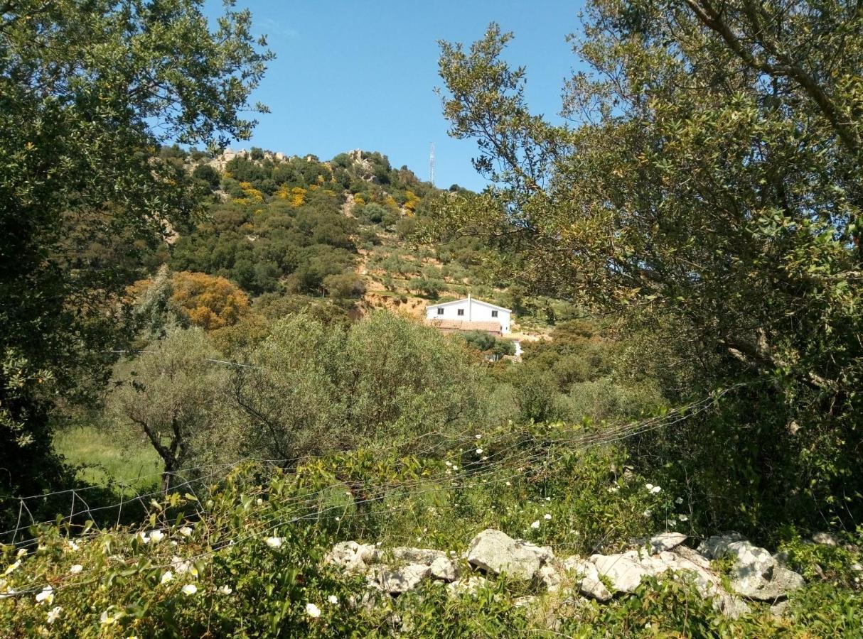 Il Nuraghe Bed & Breakfast Арбус Екстериор снимка