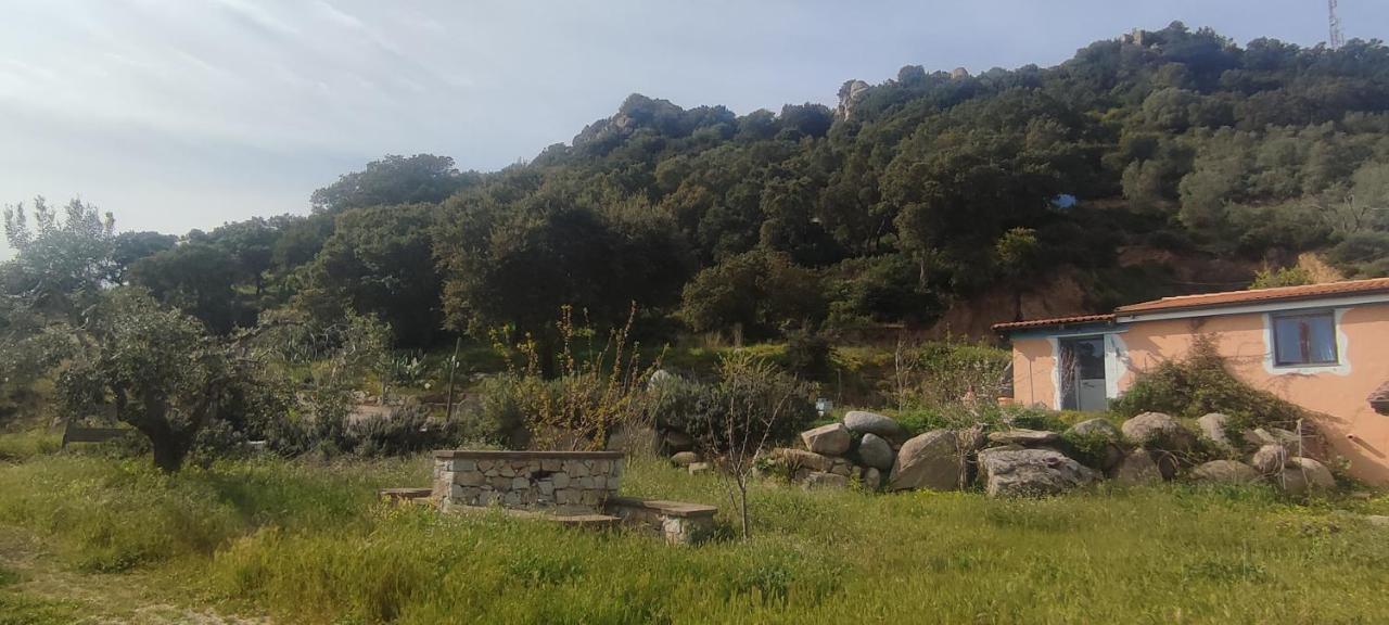 Il Nuraghe Bed & Breakfast Арбус Екстериор снимка