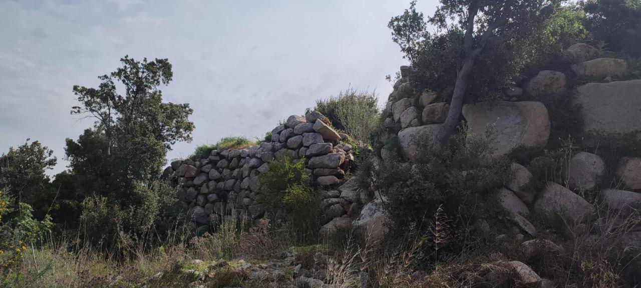 Il Nuraghe Bed & Breakfast Арбус Екстериор снимка