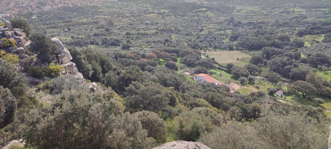 Il Nuraghe Bed & Breakfast Арбус Екстериор снимка