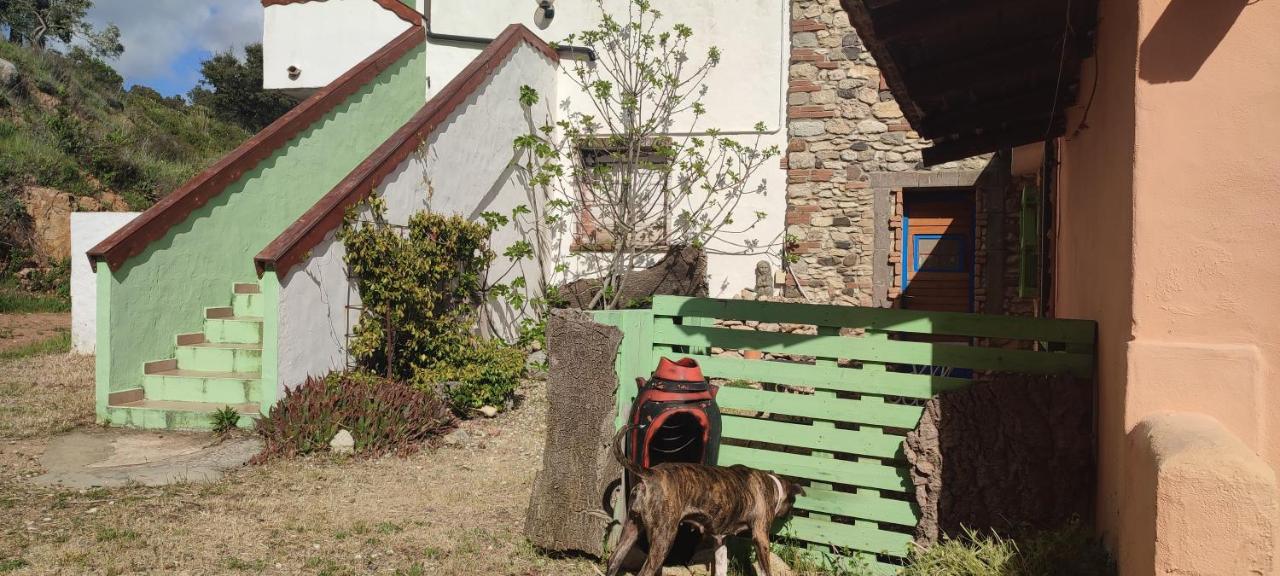 Il Nuraghe Bed & Breakfast Арбус Екстериор снимка