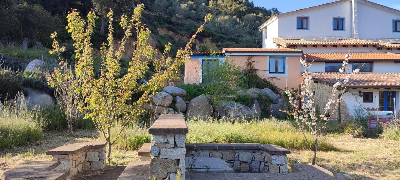 Il Nuraghe Bed & Breakfast Арбус Екстериор снимка